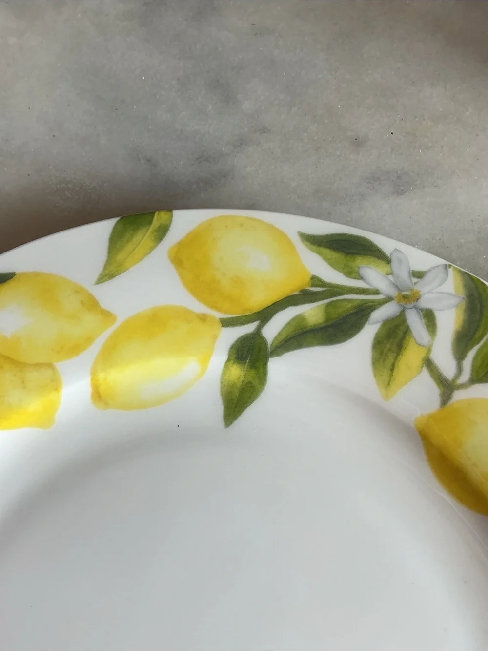 Mikasa dinner plate